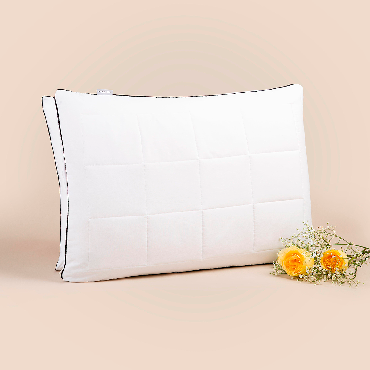 Kopfkissen Signature 45x65 cm - Altenburg